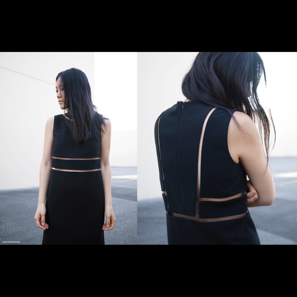 Alexander Wang Black Dress with Sheer Panels